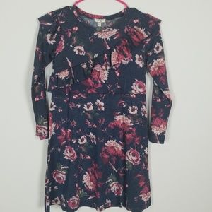 Nwot tag long sleeve size 12 dress Girl